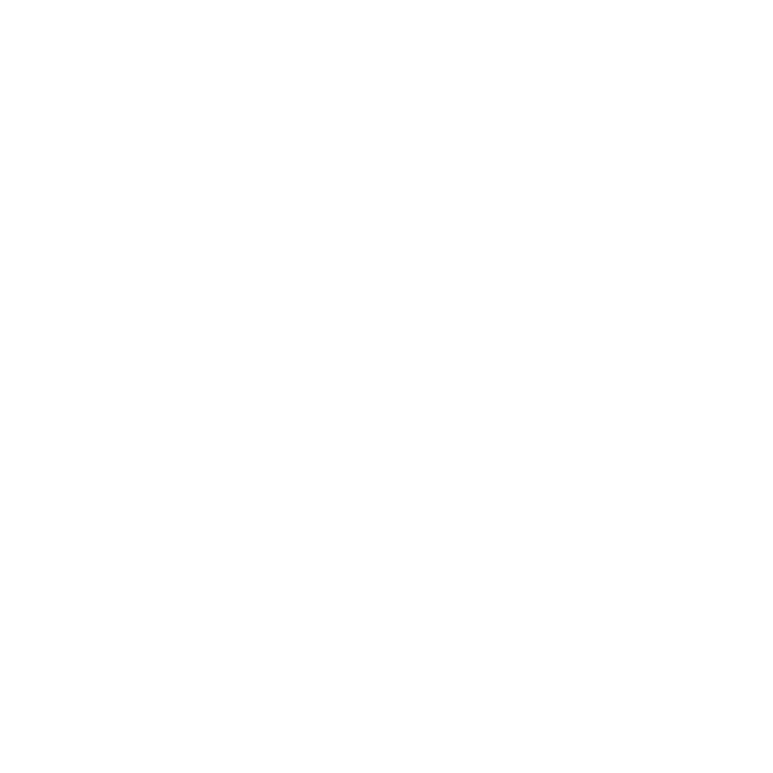 1. Icon Professional copy 1. Icon Professional copy